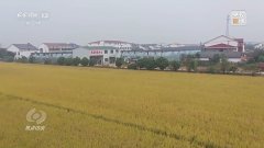 核心丨粮食产能若何再增千亿斤？中国有