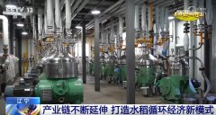 良种、良法、良机护航正在郊野好“丰”