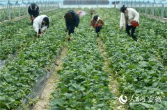 新春走下层丨“新疆场”上立新功
