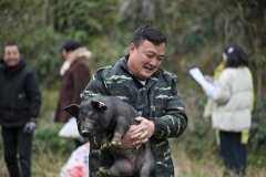 <b>湖北来凤：轮回农业让村平易近兴起荷包</b>