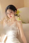 小林家的打桩机v10