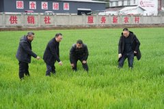 四川苍溪：建强现代农业园区鞭策农业高