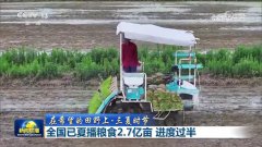 全国已夏播粮食27亿亩 进渡过半