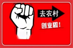什么农村项目赔本多